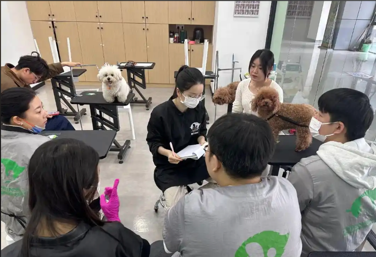 承德市宠物美容培训学校宠物美容培训学校 - 价格